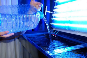 Чи можна використовувати бутильовану воду в акваріумі?